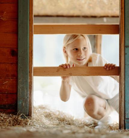 Blonder Junge schaut in einen Tierstall