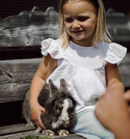 Mädchen mit blauer Schleife im Haar sitzt mit Hase auf Holzbank