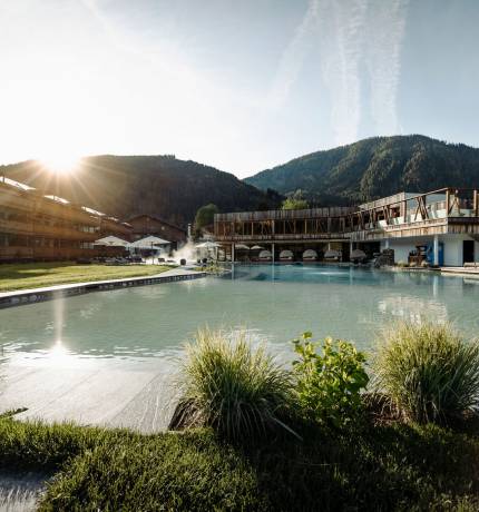 Schwimmteich mit Grünpflanzen im Sonnenschein im Ferienresort Central Flachau