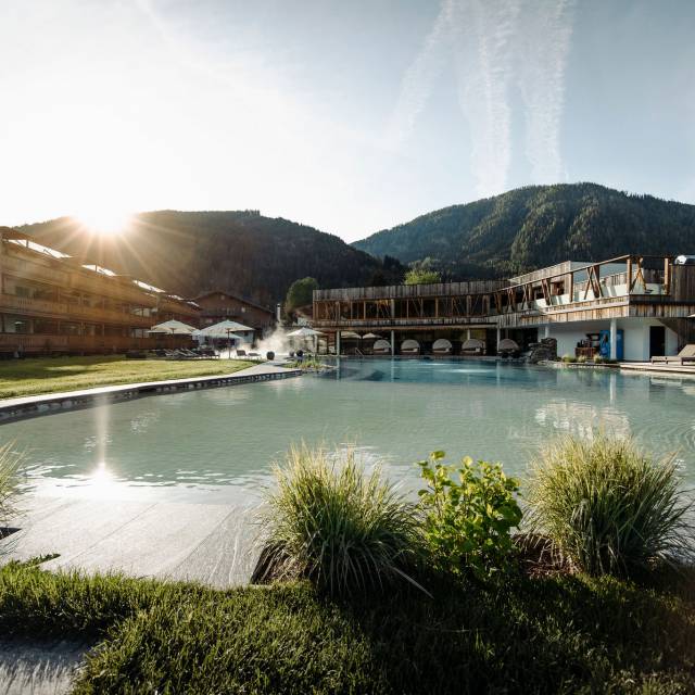 Schwimmteich mit Grünpflanzen im Sonnenschein im Ferienresort Central Flachau