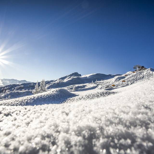 Toboggan | bliss - Ferienresort Central Flachau